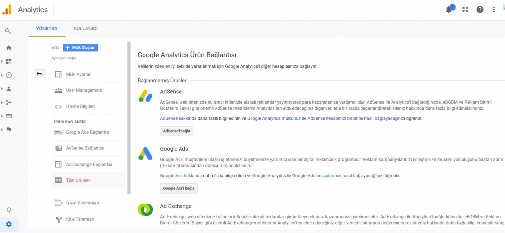 Google ads tüm ürünler